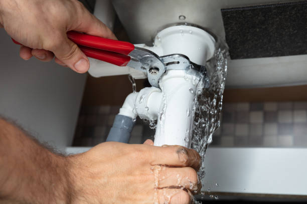Best Flood damage cleanup  in Somerton, AZ