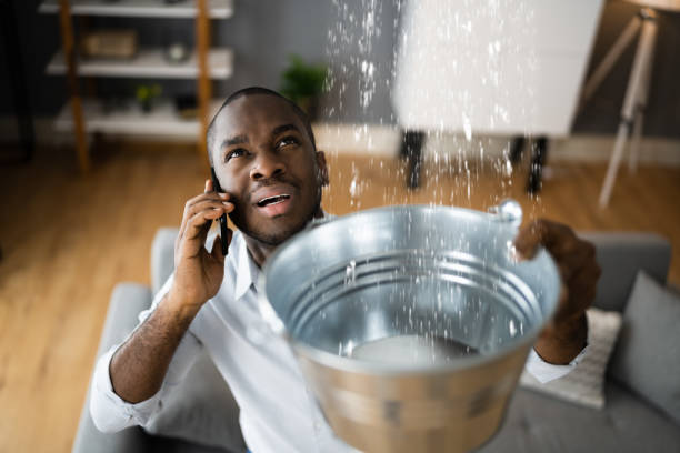 Best 24-hour water damage restoration  in Somerton, AZ