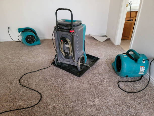 Best Ceiling water damage repair  in Somerton, AZ