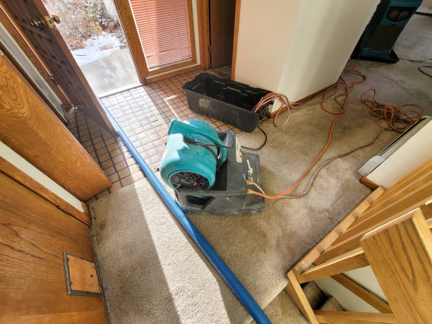 Best Flood restoration services  in Somerton, AZ