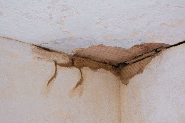 Best Local water damage restoration  in Somerton, AZ
