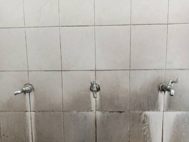 Best Professional water damage repair  in Somerton, AZ