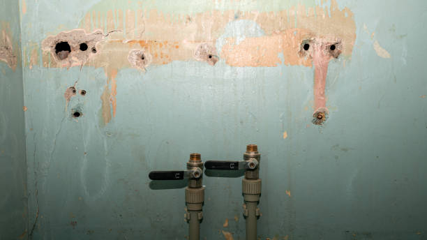 Best Water damage restoration near me  in Somerton, AZ