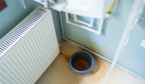 Best Basement water damage restoration  in Somerton, AZ