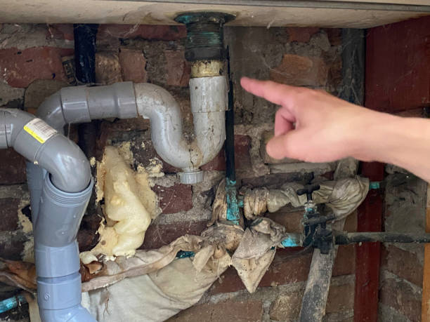 Best Water damage restoration process  in Somerton, AZ