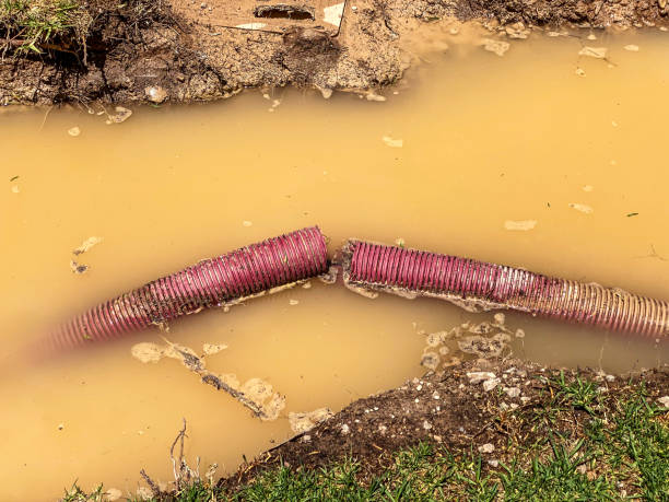  Somerton, AZ Water damage restoration Pros