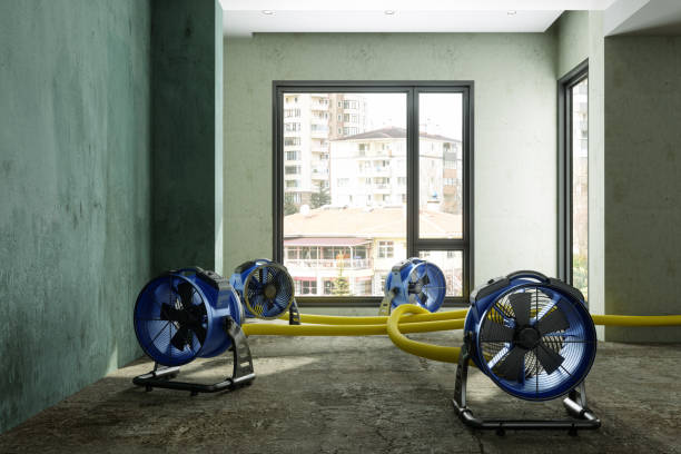Best Emergency water damage restoration  in Somerton, AZ
