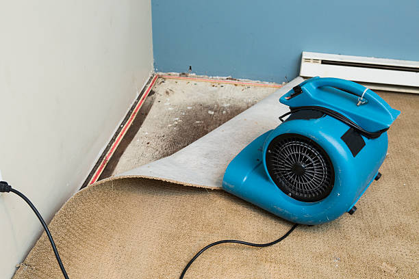 Water damage restoration process in Somerton, AZ